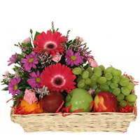 Send Fresh Fruits to Nagpur.