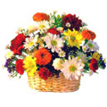 Low Cost Flowers to Nagpur.