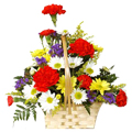 Send special Flowers to Nagpur.