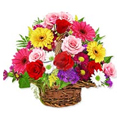 Send Mixed Exoticl Flowers to Nagpur.